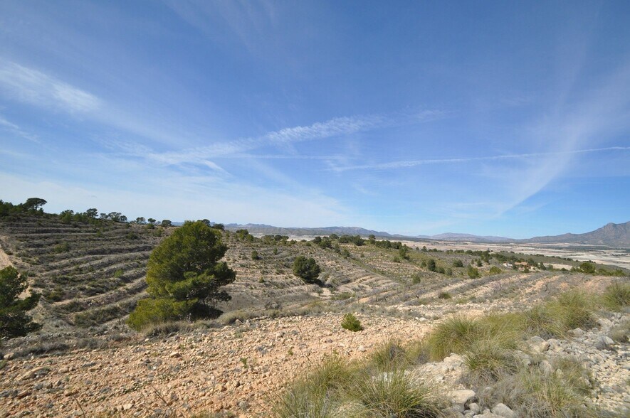 Terreno en Jumilla, Murcia en venta - Vista aérea - Imagen 3 de 16
