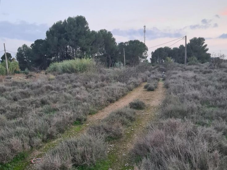 Terreno en Lleida en venta - Foto del edificio - Imagen 1 de 10