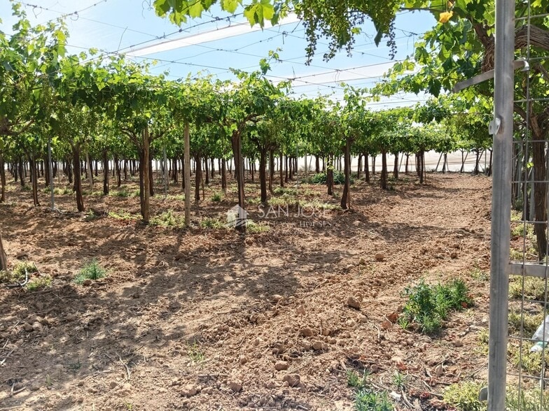Terreno en La Romana, Alicante en venta - Foto del edificio - Imagen 3 de 6