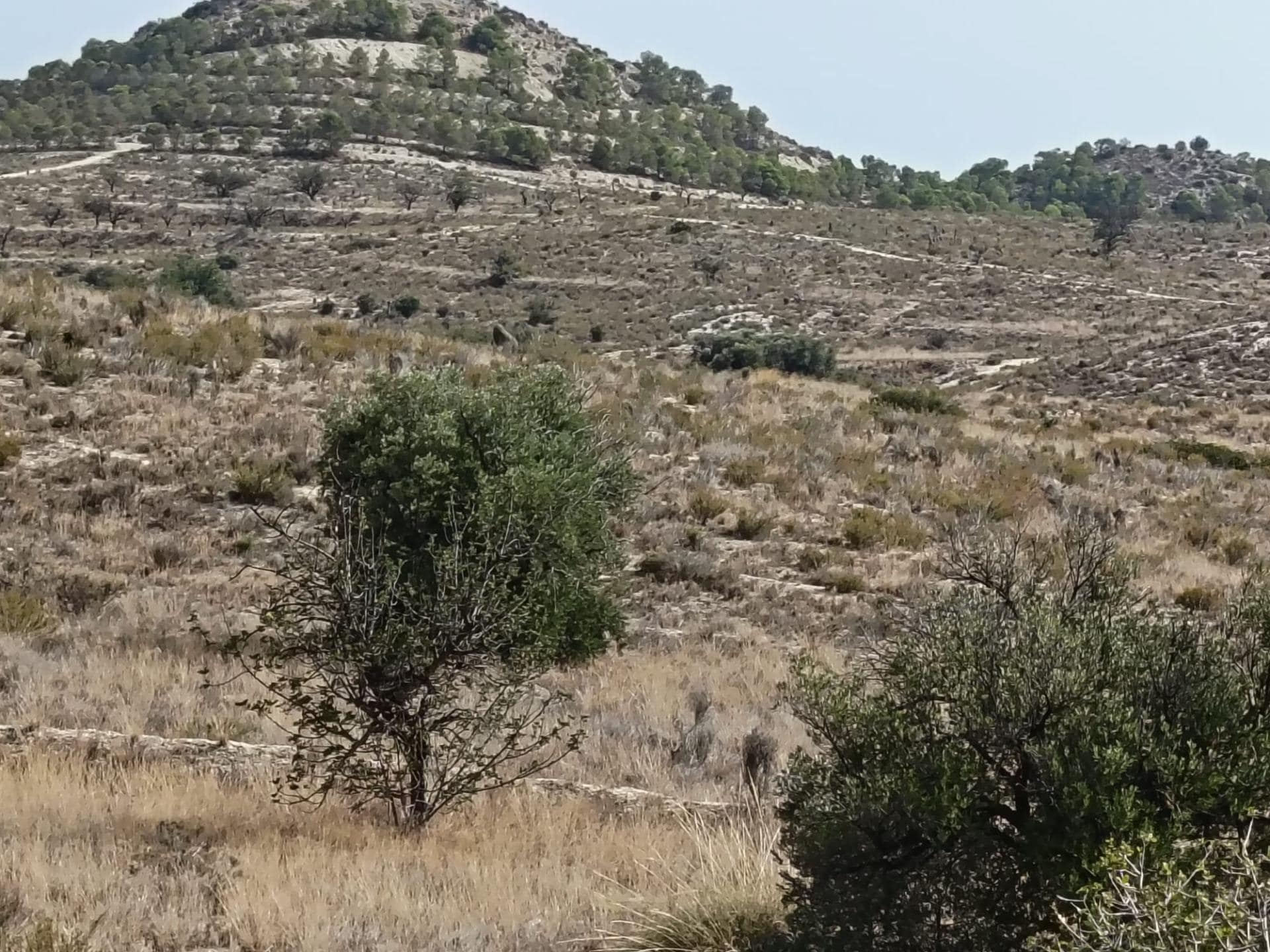 Terreno en Alicante en venta Vista aérea- Imagen 1 de 13