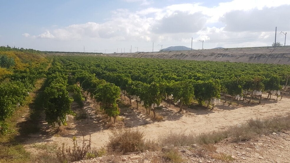 Terreno en Agost, Alicante en venta - Vista aérea - Imagen 3 de 9