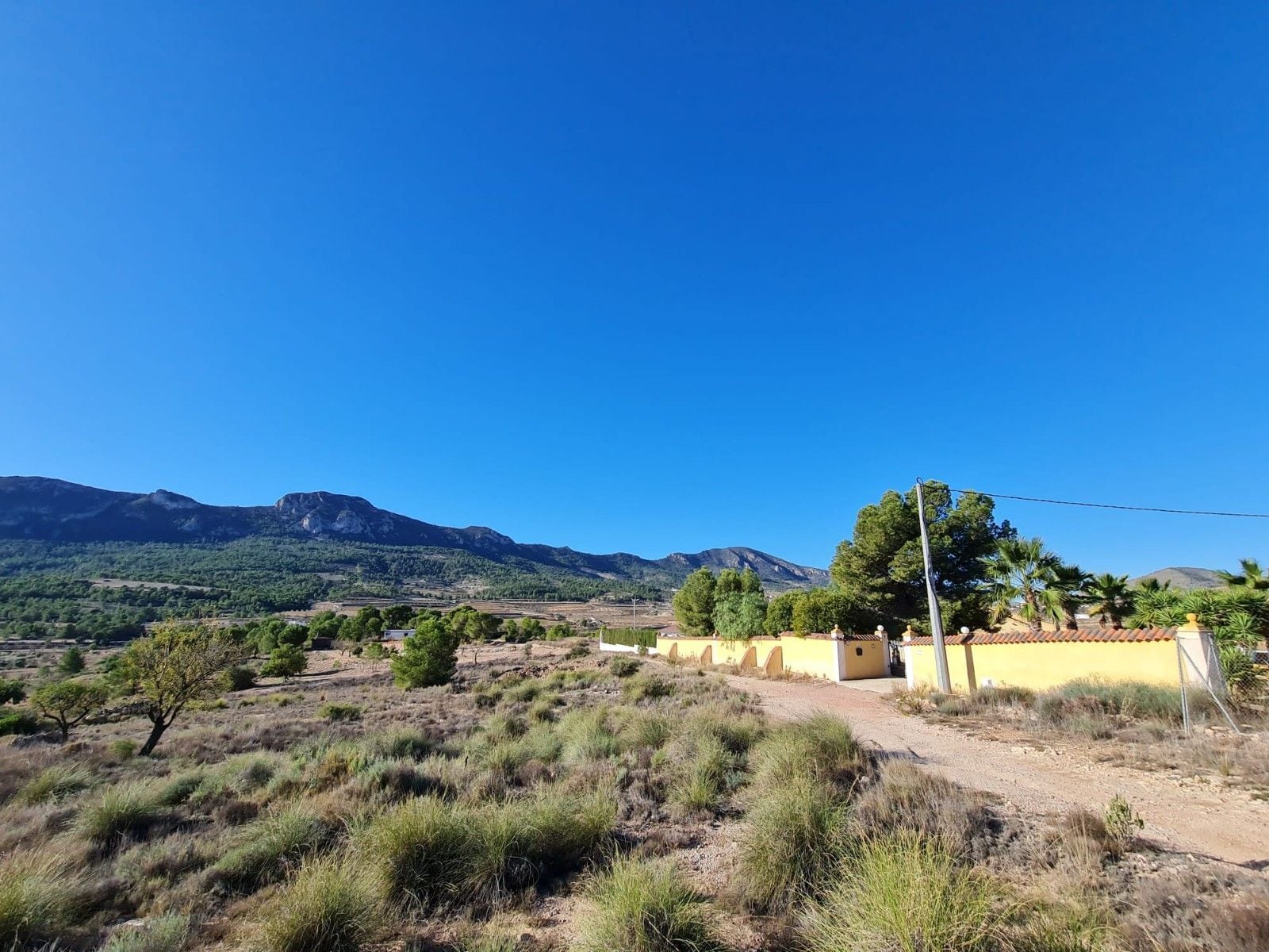Terreno en La Romana, Alicante en venta Foto principal- Imagen 1 de 11