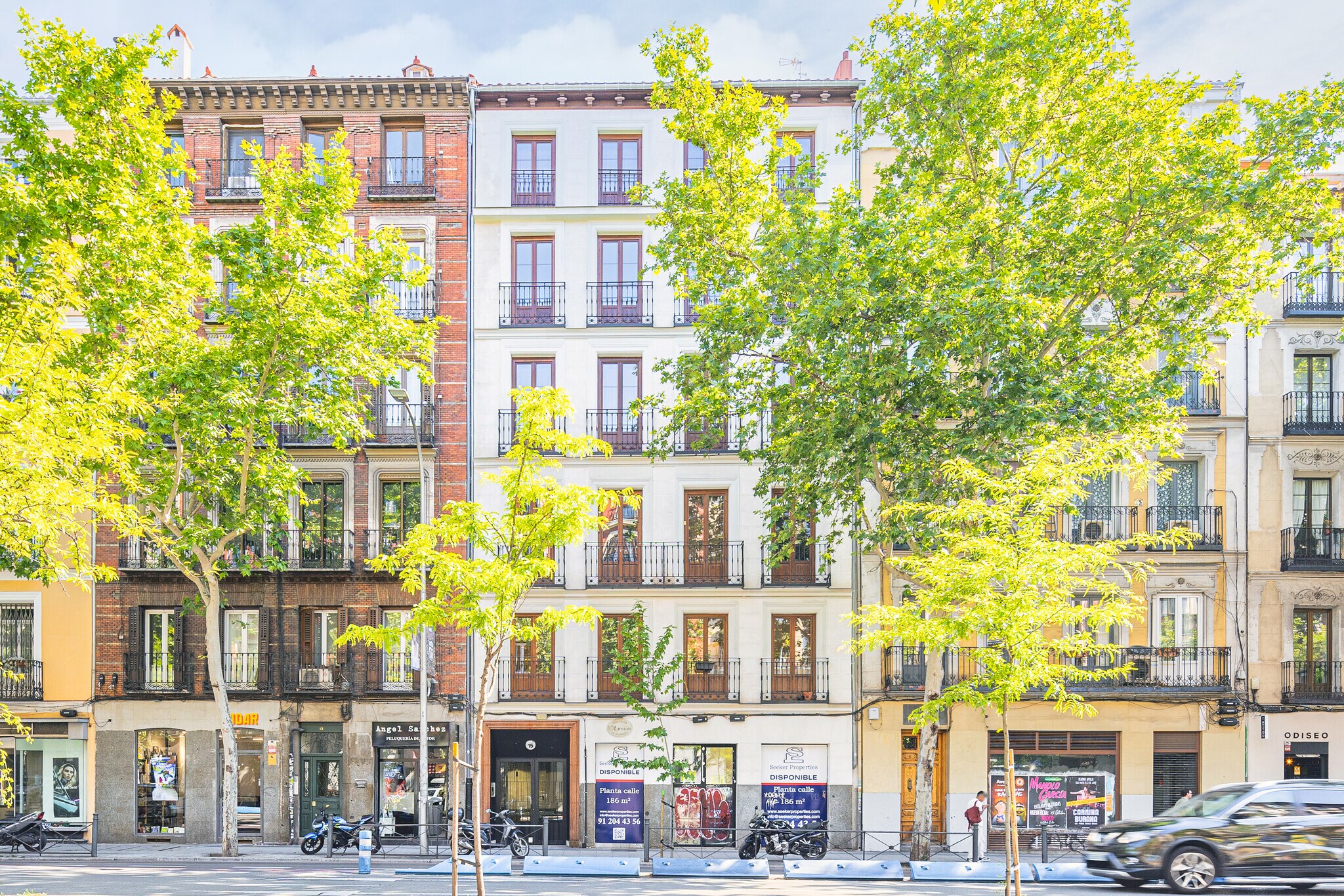 Calle de Carranza, 15, Madrid, Madrid en alquiler Plano de la planta- Imagen 1 de 3
