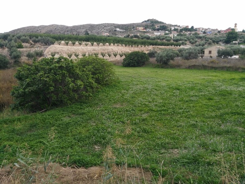 Terreno en Calasparra, Murcia en venta - Foto del edificio - Imagen 3 de 4