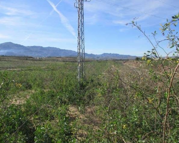 A-370, Turre, Almería en venta Foto del edificio- Imagen 1 de 3