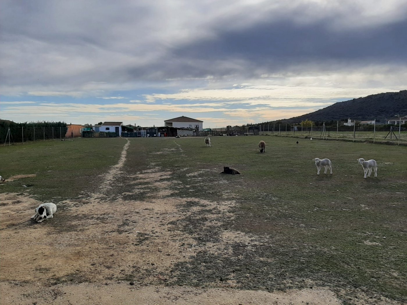 Terreno en Cáceres, Cáceres en venta Foto principal- Imagen 1 de 16