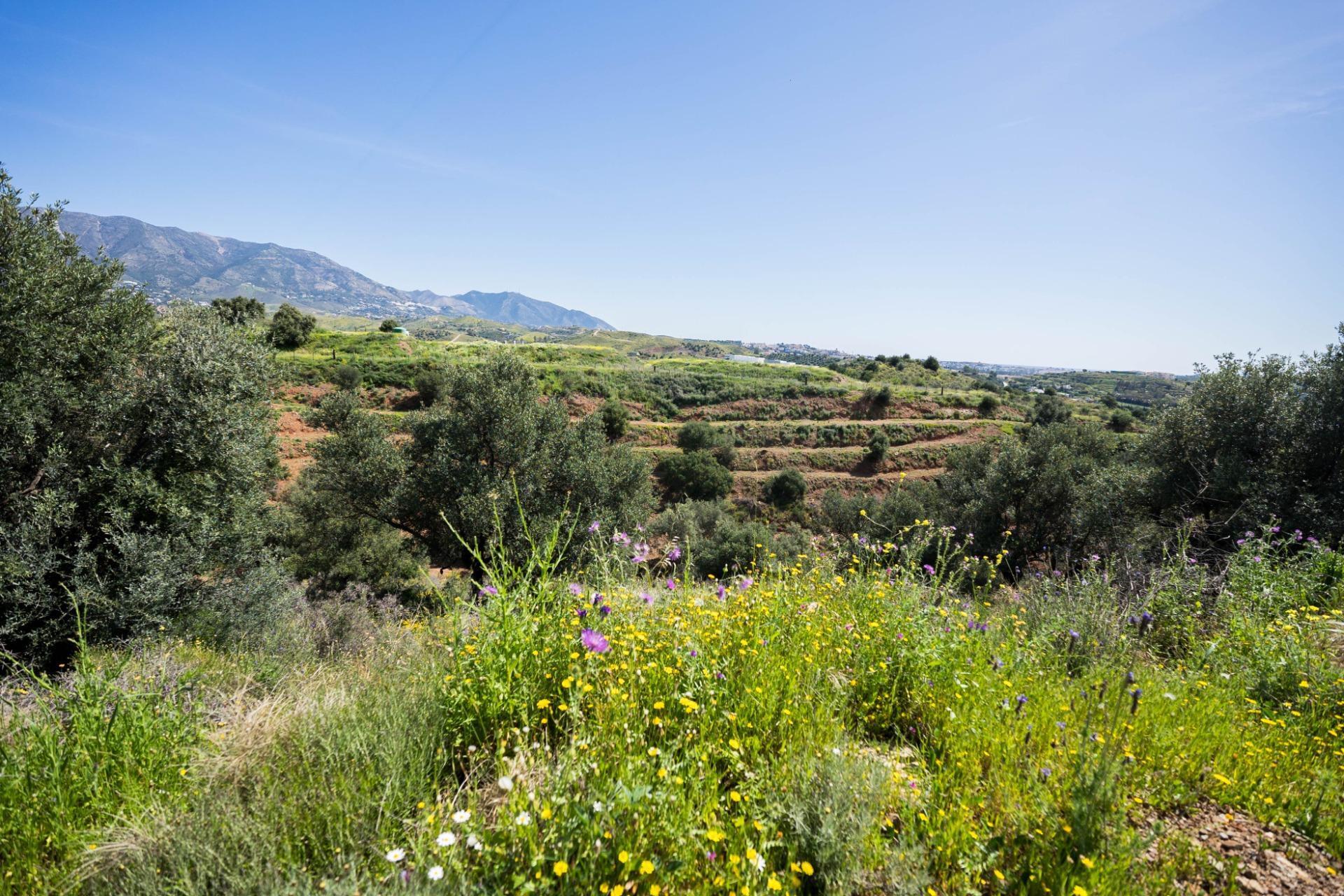 Terreno en Mijas, Málaga en venta Vista aérea- Imagen 1 de 10