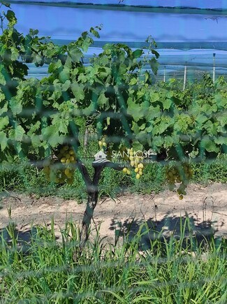 Más detalles de Terreno en venta