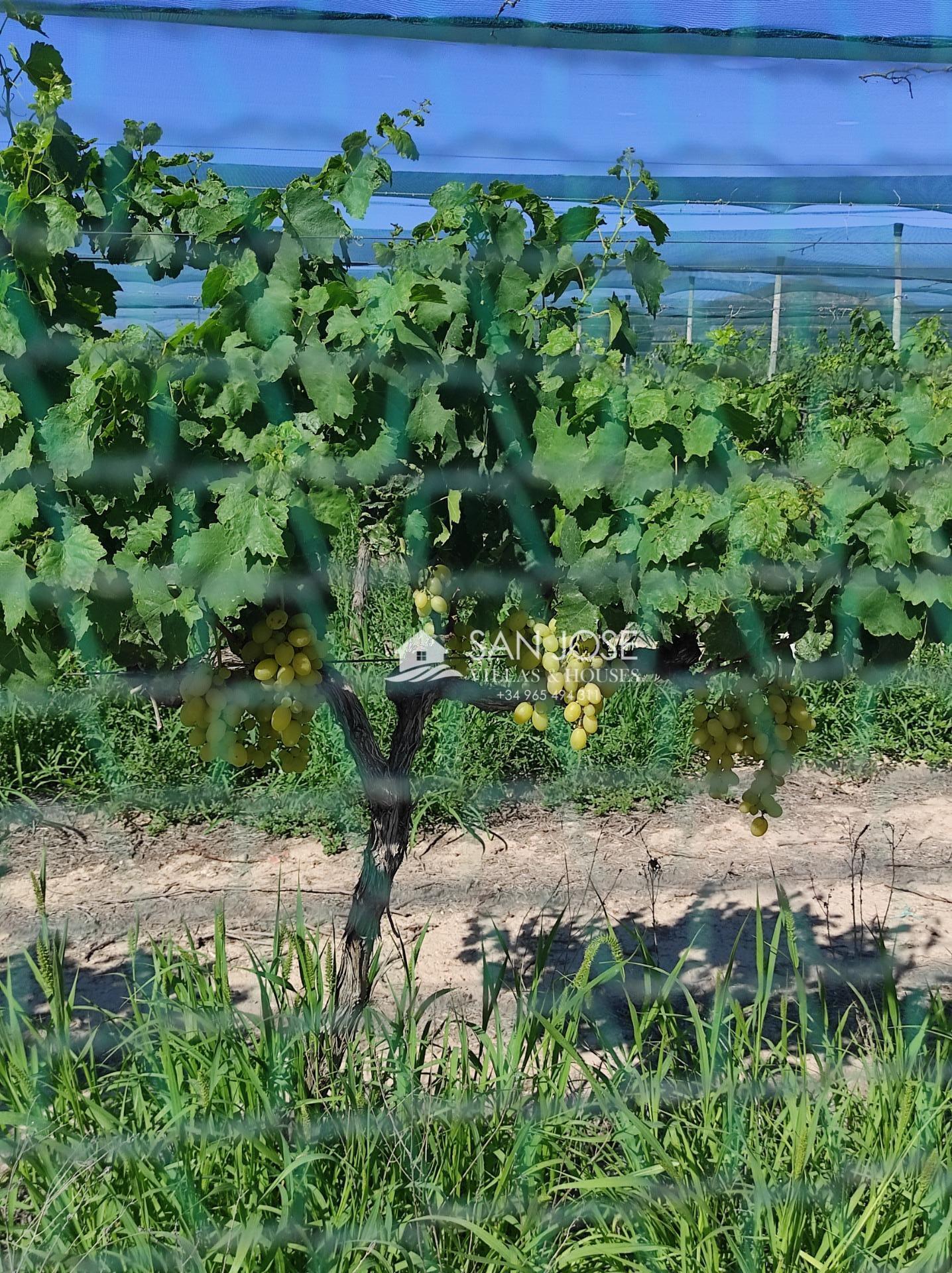 Terreno en Alicante, Alicante en venta Foto del edificio- Imagen 1 de 9