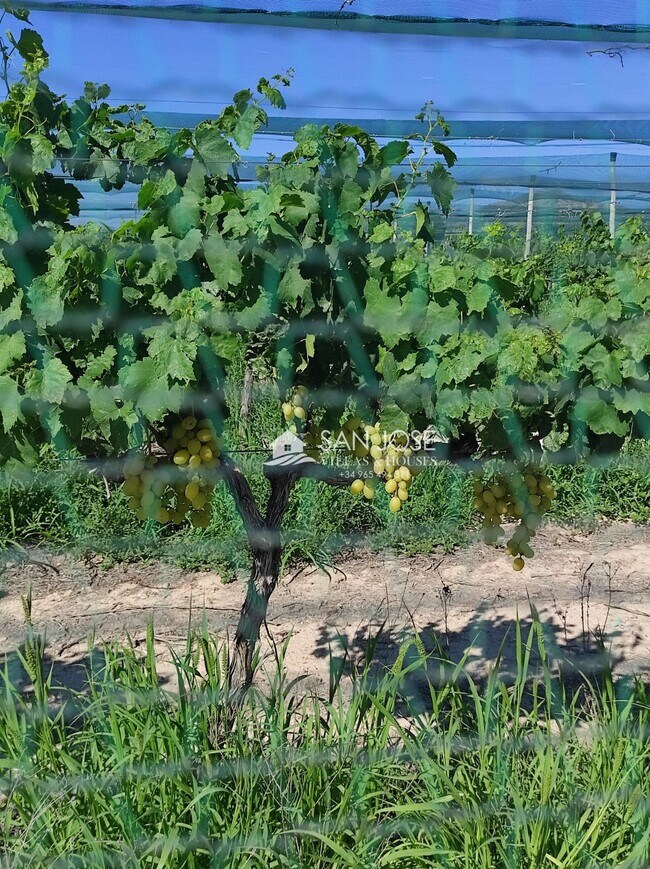 Más detalles de Terreno en venta