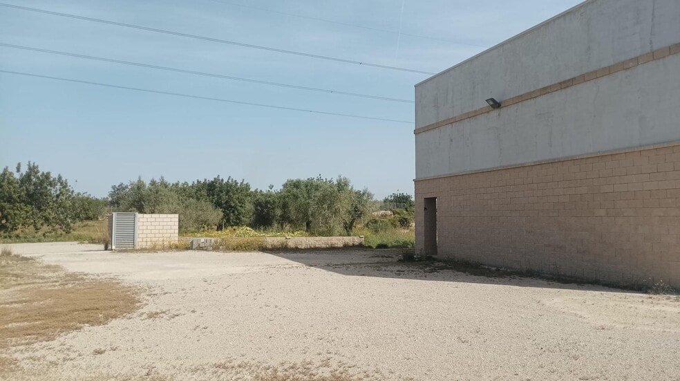 Nave en Amposta, Tarragona en venta - Foto del edificio - Imagen 3 de 23