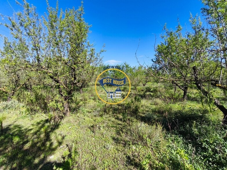 Terreno en Albaida, Valencia en venta - Foto del edificio - Imagen 2 de 10