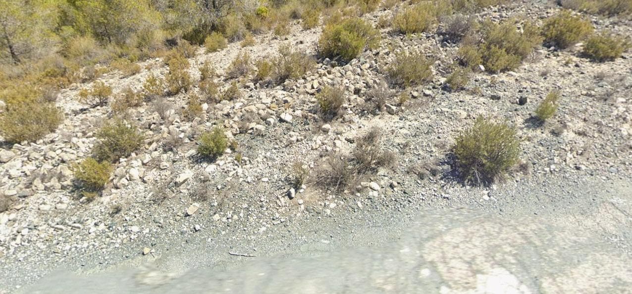 Terreno en Hondón de los Frailes, Alicante en venta Foto del edificio- Imagen 1 de 2