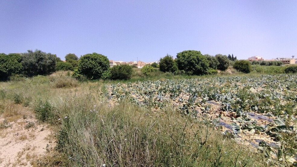 Terreno en Calasparra, Murcia en venta - Plano del sitio - Imagen 3 de 7