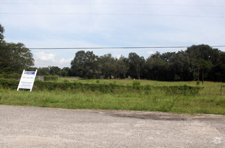 Más detalles para 11102 N US Highway 301, Thonotosassa, FL - Terrenos en venta