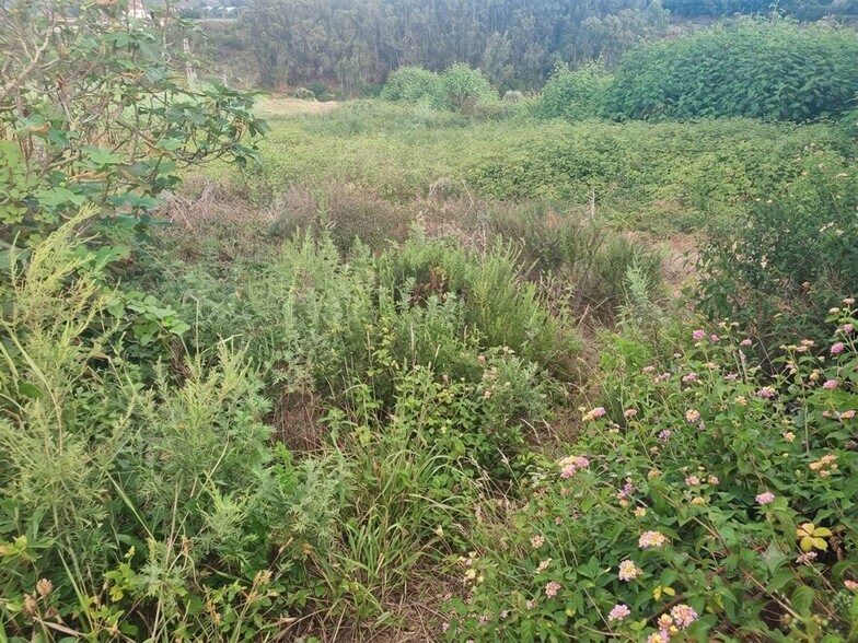 Carretera las Huertecillas, S/N, Firgas, Las Palmas en venta - Foto del edificio - Imagen 3 de 3