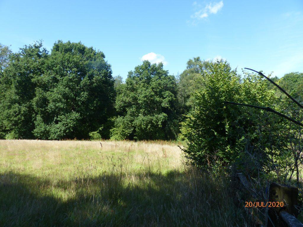 Halsinger, Braunton en venta Foto del edificio- Imagen 1 de 18