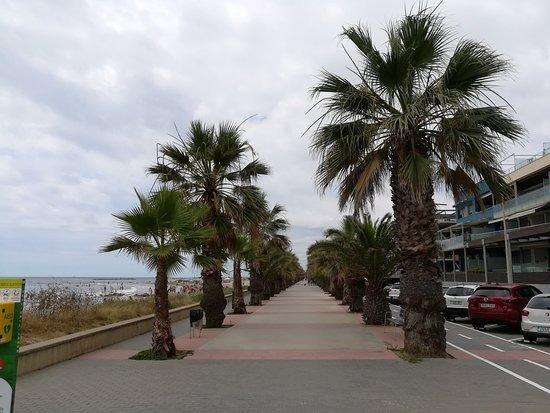 Local en Cubelles, Barcelona en alquiler Foto del interior- Imagen 1 de 11