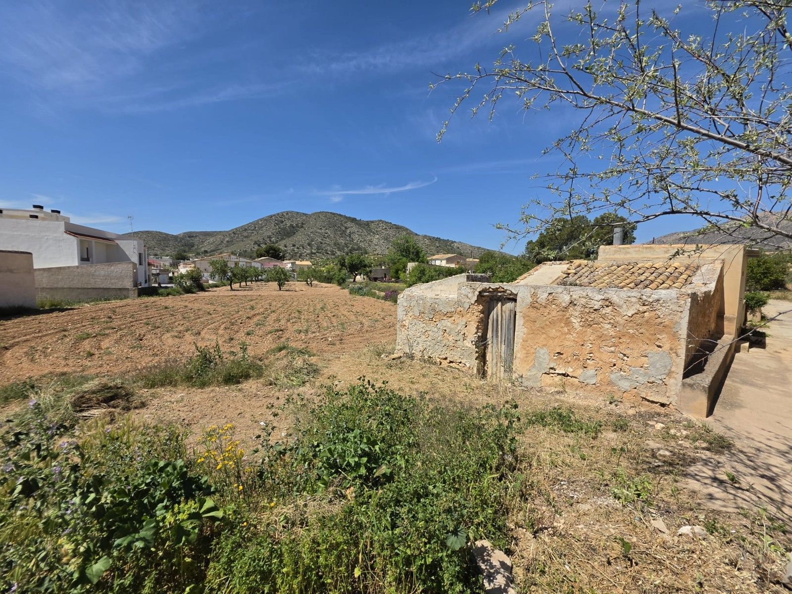 Terreno en HONDÓN DE LAS NIEVES, Alicante en venta Foto del edificio- Imagen 1 de 9