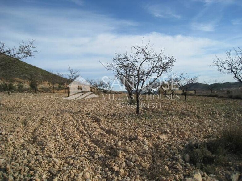 Terreno en HONDÓN DE LAS NIEVES en venta - Plano del sitio - Imagen 1 de 5