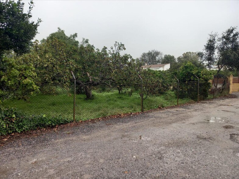 Terreno en Bollullos de la Mitación en venta - Foto del edificio - Imagen 3 de 7
