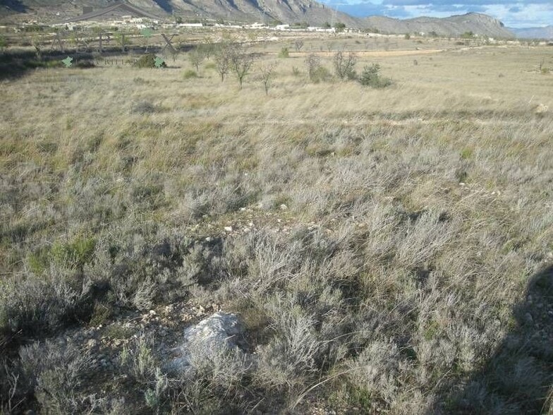 Terreno en HONDÓN DE LAS NIEVES, Alicante en venta - Plano del sitio - Imagen 1 de 7