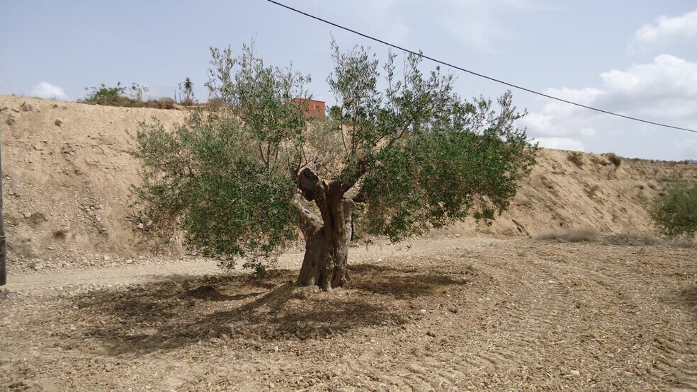 Terreno en Abanilla en venta - Foto del edificio - Imagen 3 de 31