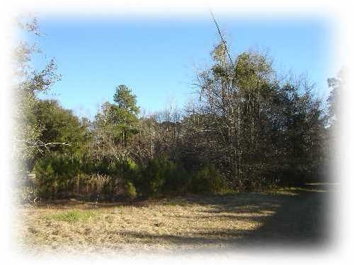 2525 Highway 17A, Summerville, SC en venta - Foto del edificio - Imagen 1 de 24