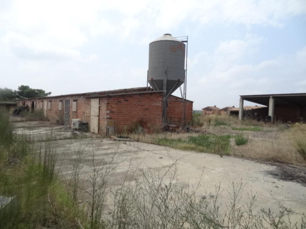 Terreno en Benavent de Segrià, Lérida en venta Foto principal- Imagen 1 de 4