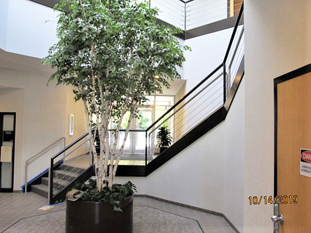 1202-1298 Moore Lake Dr E, Minneapolis, MN en alquiler - Foto del interior - Imagen 3 de 3