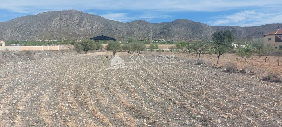 Terreno en Hondón de los Frailes, Alicante en venta - Plano del sitio - Imagen 2 de 2
