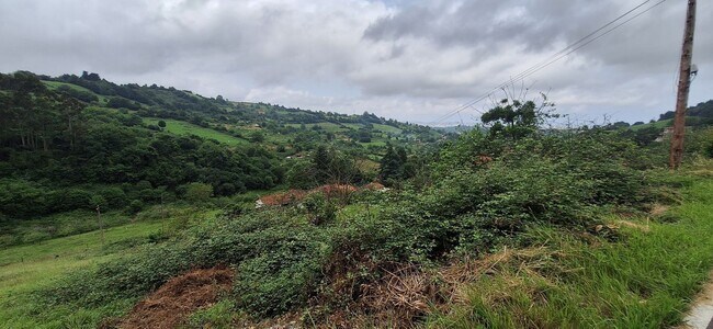 Más detalles de Camín del Pioyu, S/N, Gijón - Terreno en venta