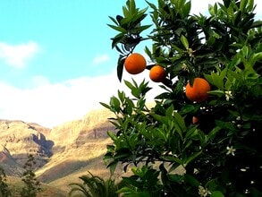 San Bartolomé de Tirajana, LP - Aérea  vista de mapa