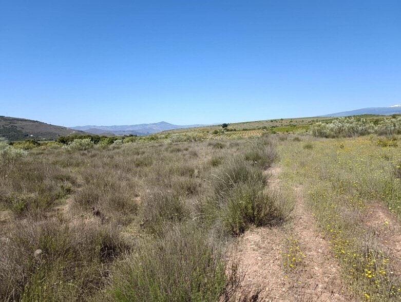 Terreno en Láujar de Andarax, Almería en venta - Vista aérea - Imagen 2 de 8