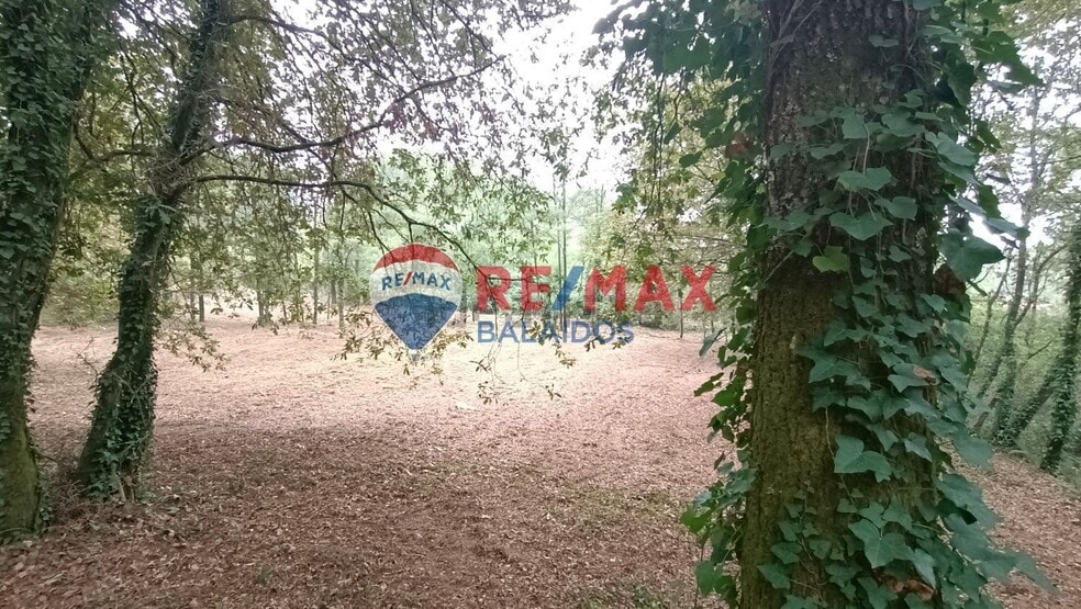 Terreno en O Porriño, Pontevedra en venta - Foto del edificio - Imagen 3 de 19