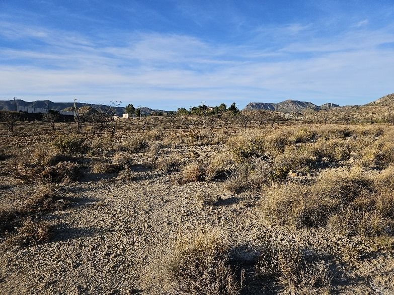 Terreno en Elda en venta - Foto del edificio - Imagen 3 de 5