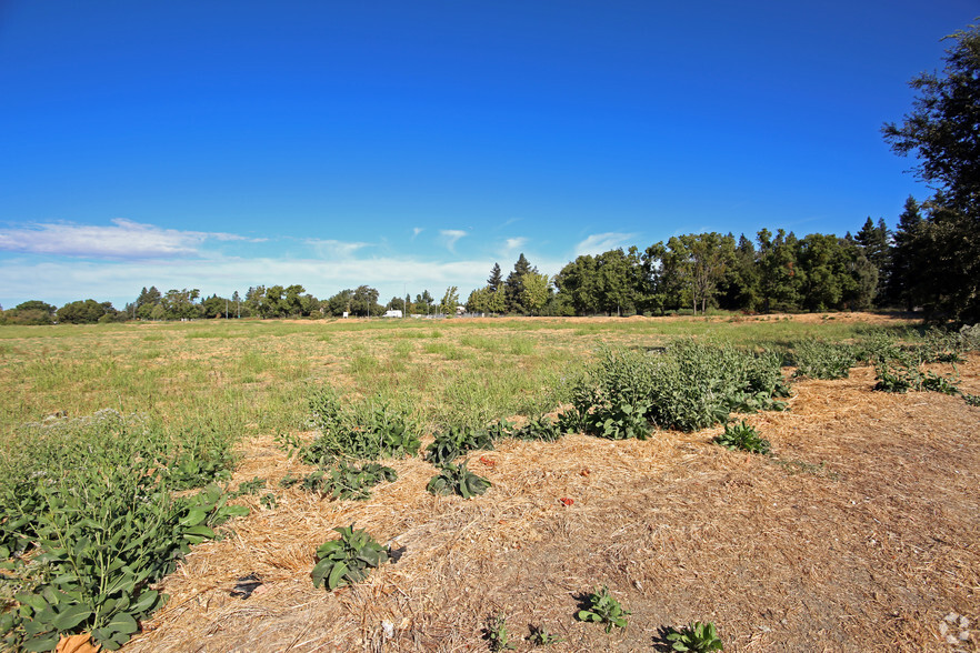 Reed Ave, West Sacramento, CA en alquiler - Foto principal - Imagen 2 de 12