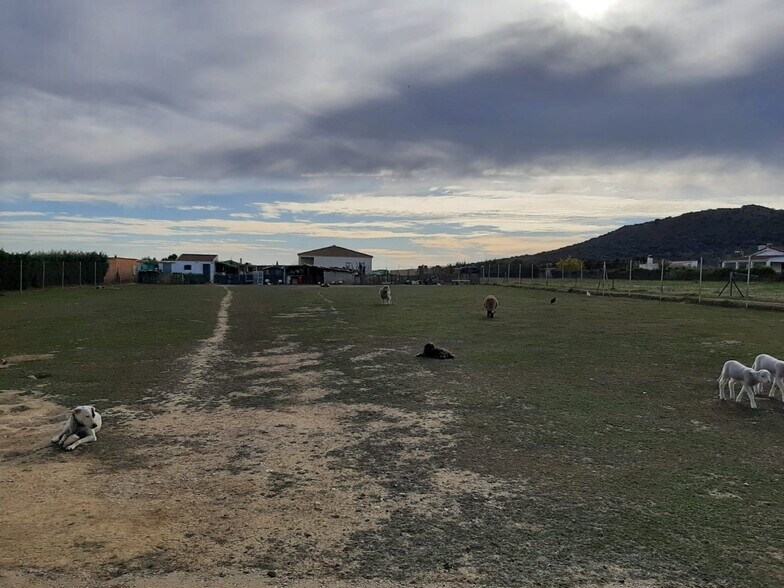 Terreno en Cáceres en venta - Foto del edificio - Imagen 2 de 15