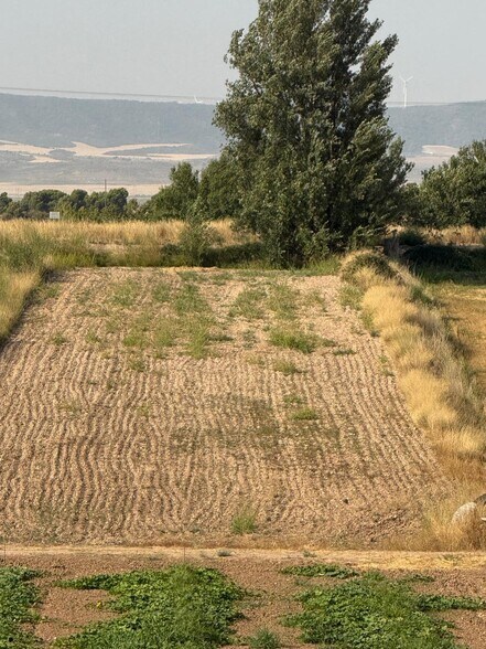 Terreno en Zaragoza, Zaragoza en venta - Plano del sitio - Imagen 3 de 7