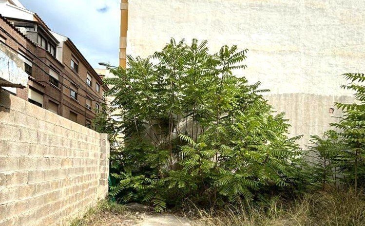 Vazquez Mella, CASTELLÓN DE LA PLANA, Castellón en venta - Foto del edificio - Imagen 3 de 16
