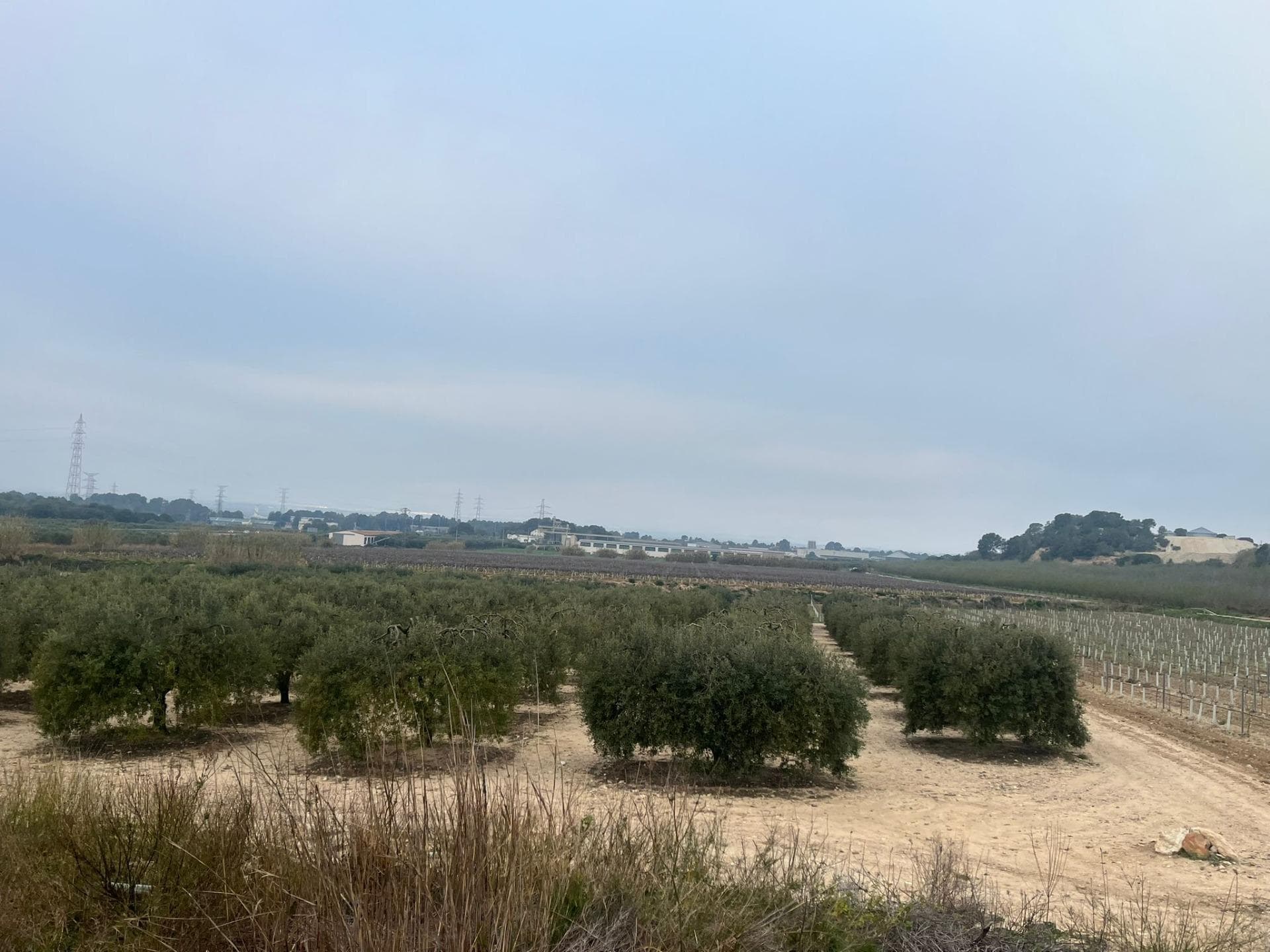 Terreno en Perafort, Tarragona en venta Plano del sitio- Imagen 1 de 8