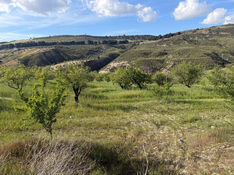 Polígono Ue-5, 7, Arenas del Rey, Granada en venta - Vista aérea - Imagen 1 de 7