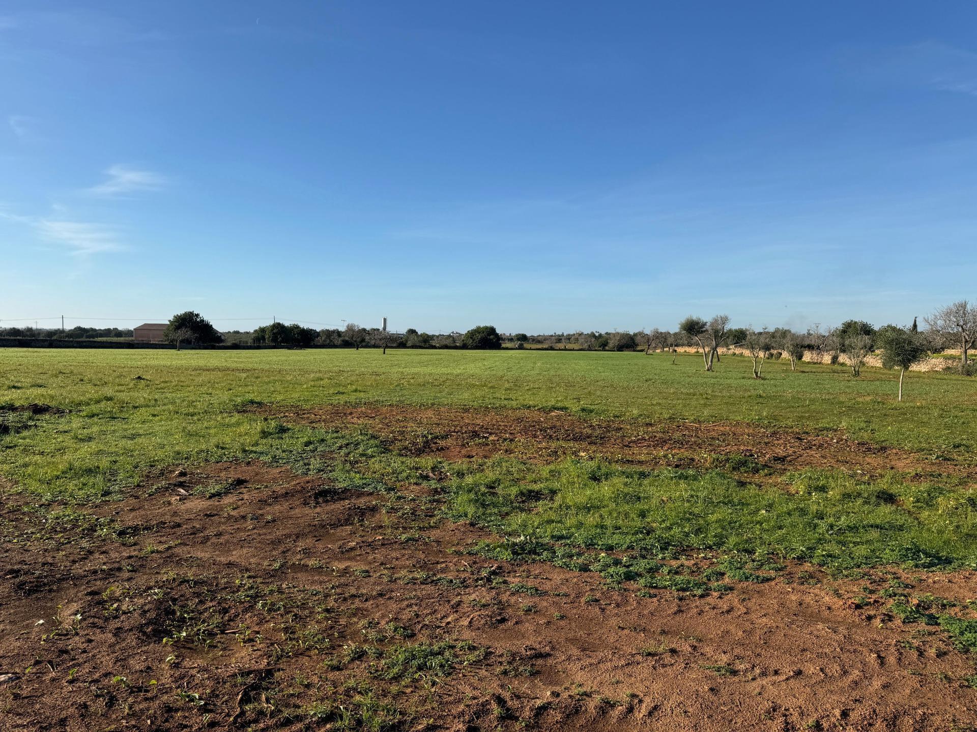 Terreno en Felanitx, Islas Baleares en venta Foto principal- Imagen 1 de 6