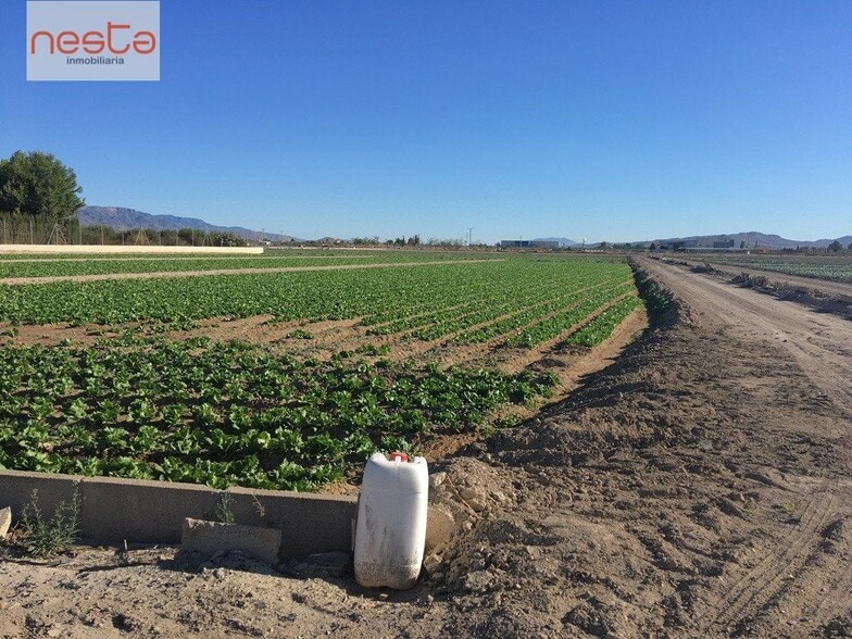 Terreno en Lorca, Murcia en venta - Foto del edificio - Imagen 2 de 4