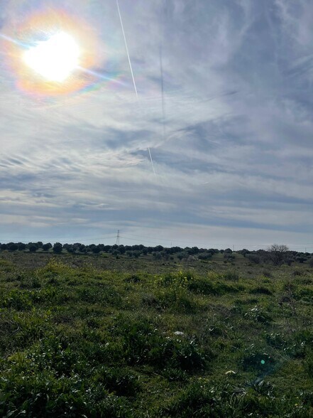 Calle Carretera CM-4010, Seseña Nuevo, Toledo en venta - Otros - Imagen 2 de 4