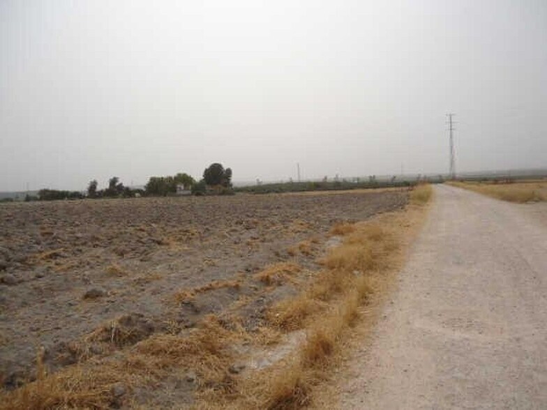 Terreno en Osuna, Sevilla en venta - Foto principal - Imagen 3 de 8