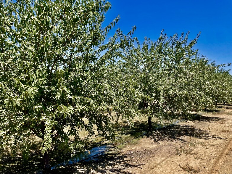 Whitworth rd, Gustine, CA en venta - Otros - Imagen 3 de 9