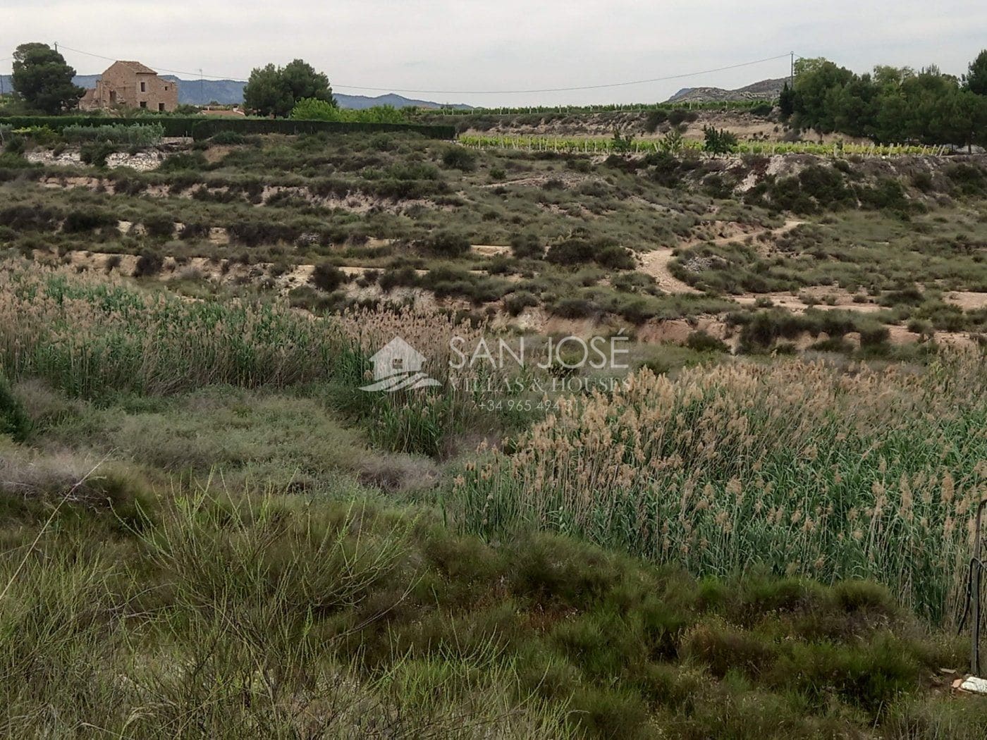 Terreno en Novelda, Alicante en venta Foto principal- Imagen 1 de 18