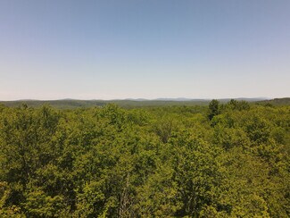 Más detalles de 1 Snow Hill Rd, Parksville, NY - Terreno en venta