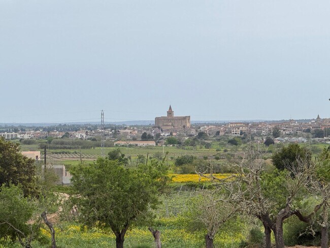 Más detalles de Camí Vel de Porreres, 2, Algaida - Terreno en venta